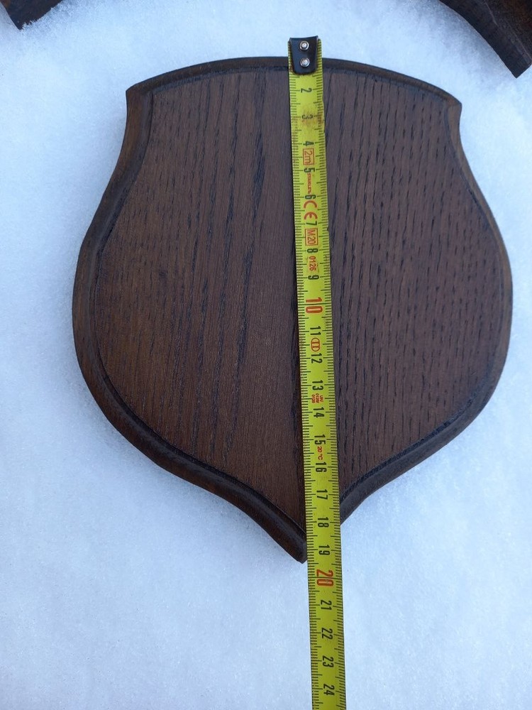 Handcrafted Solid Oak Antler Plaque - Professional Roe Deer Trophy Mount - Dark