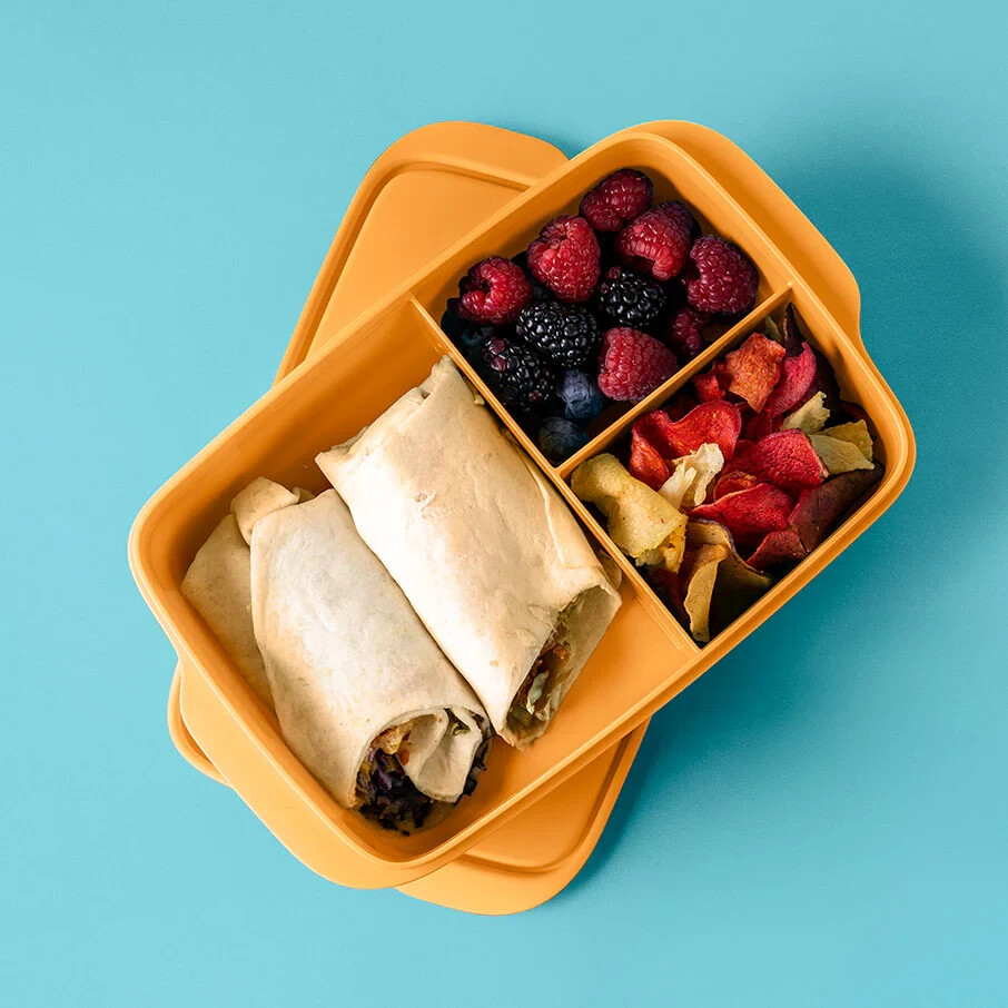Eco+ Lunch-it Large Container