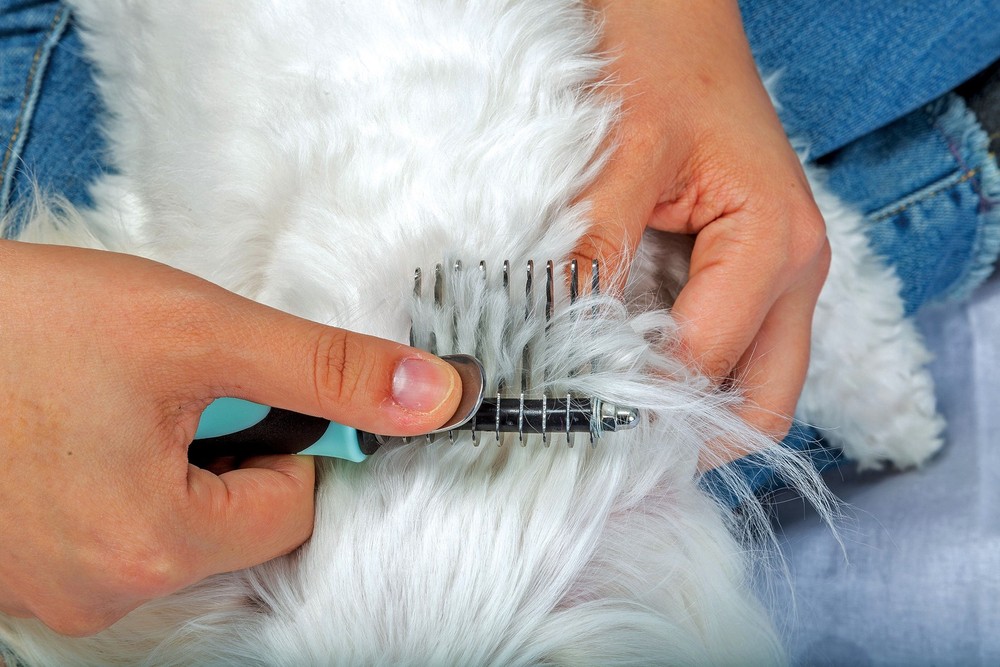 PixiePaws™ 6 Piece Pet Grooming Set - 530004E