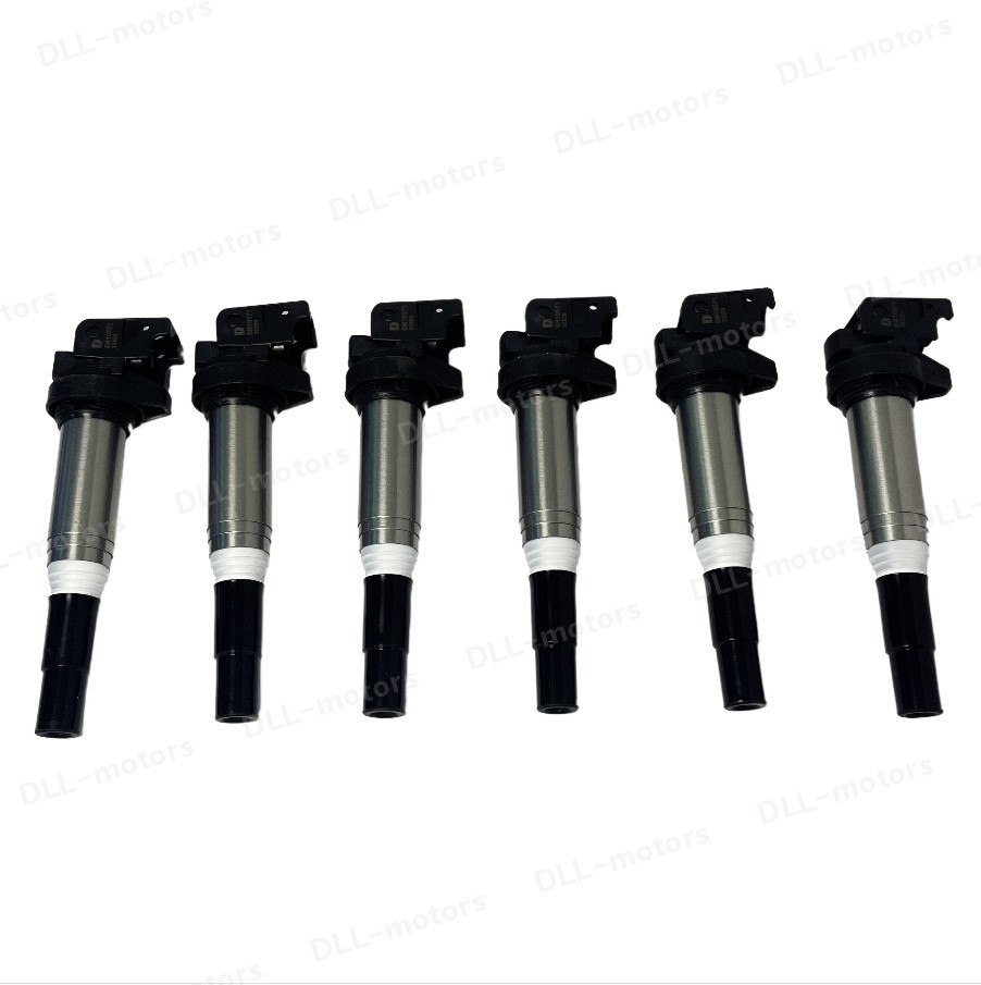 6PCS NEW Delphi Ignition Coil Metal Fits for BMW X3 X5 325 335 535 12138616153