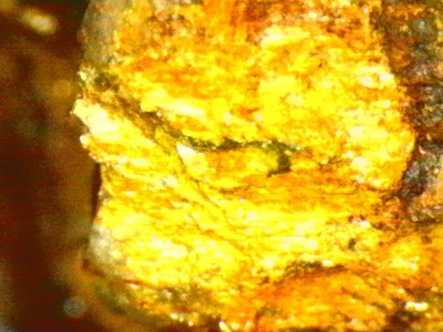 Gold Ore Specimen /Quality Visible Gold