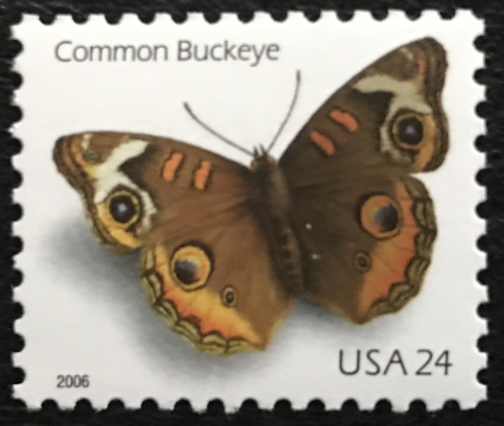 2006 Scott #4000 - 24¢ - COMMON BUCKEYE - Single Stamp - Mint NH