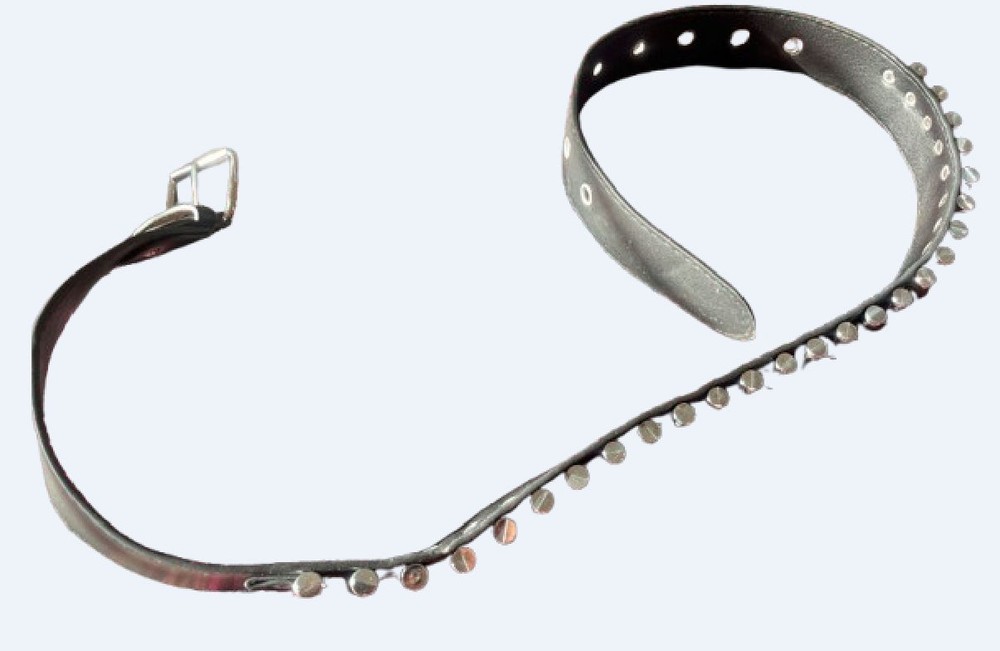 Bullet Belt