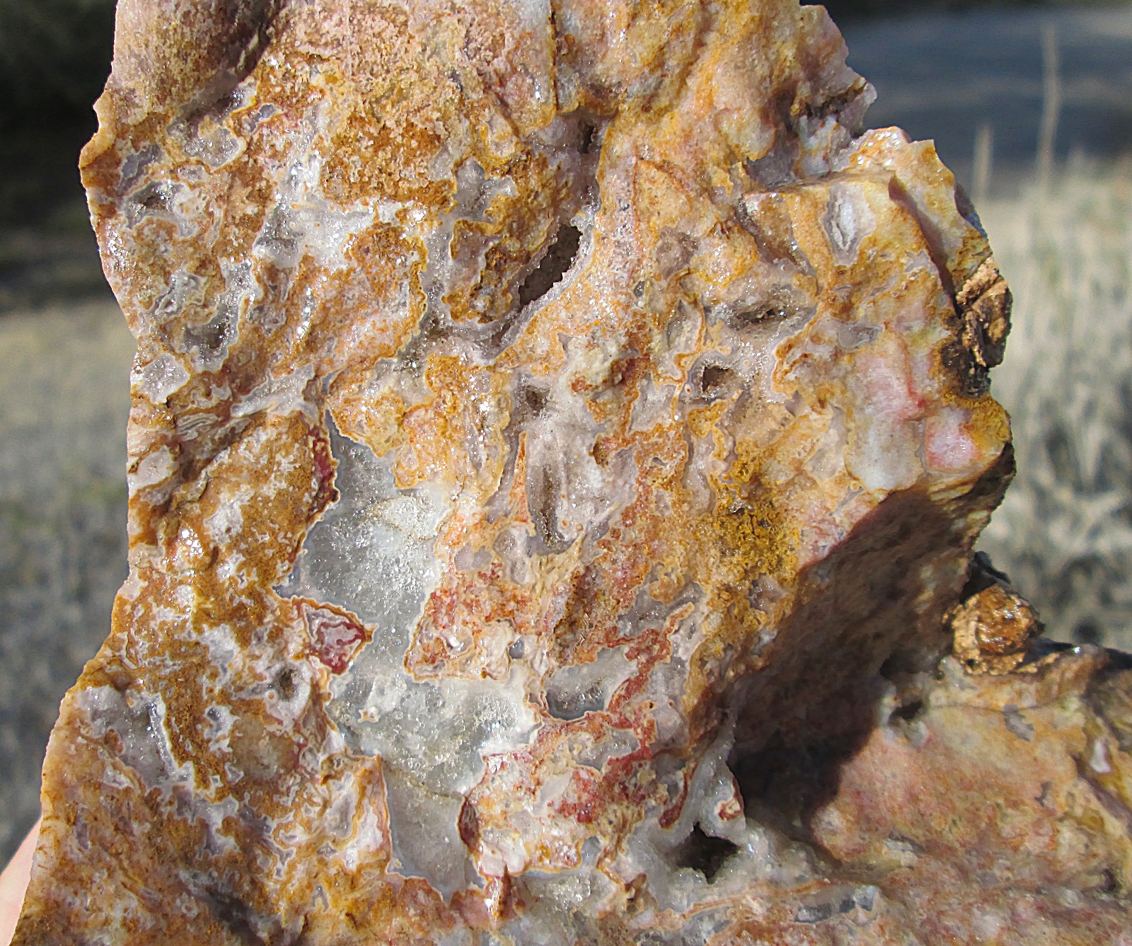 AGUA NUEVA MOSS AGATE ROUGH ~ 5lbs 12.3ozs