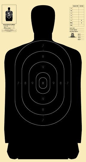 B-27 (Paper) Official NRA Target- 100 Target Pack