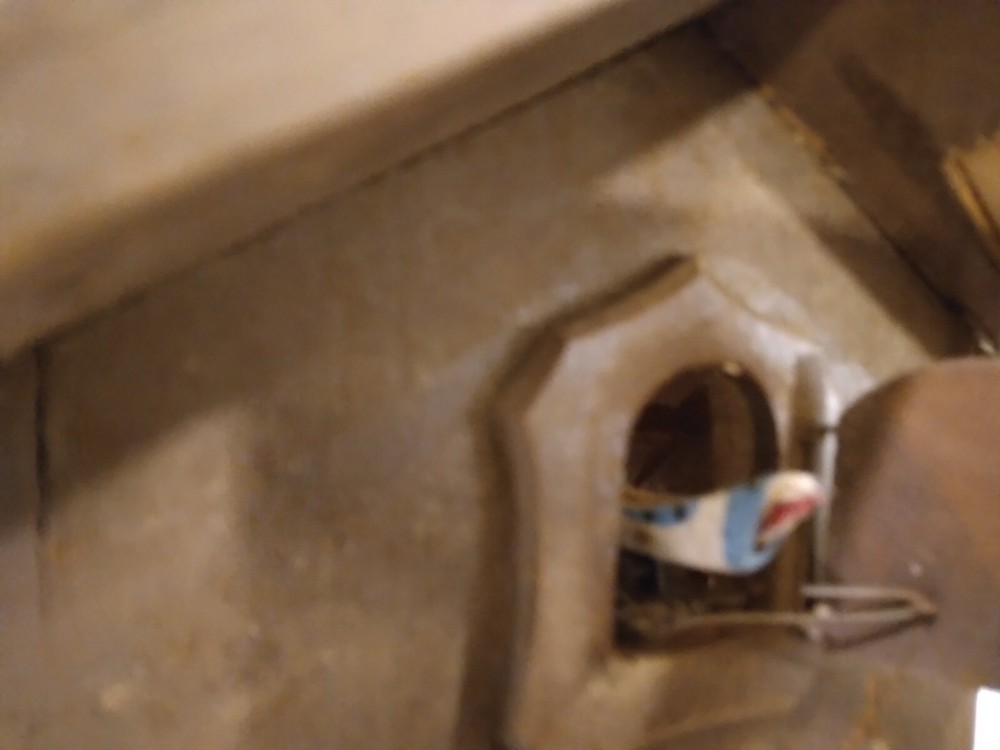 VINTAGE BLACK FOREST CUCKOO CLOCK