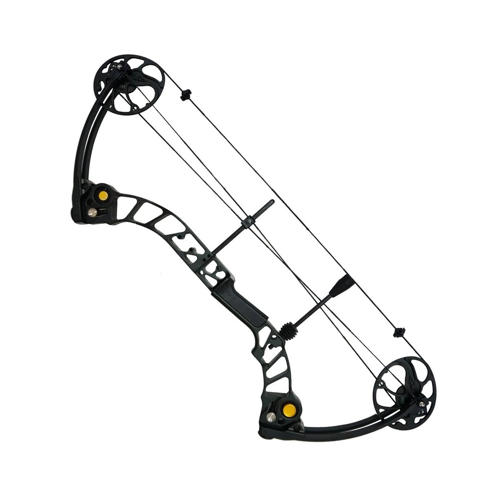 Professional Hunting Black Compound Bow
