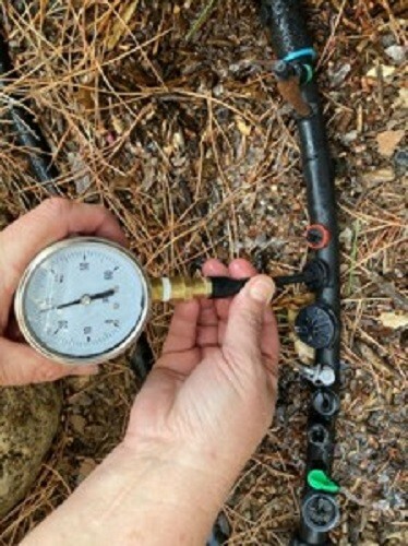 Drip irrigation pressure testing tool with 60 psi liquid filled gauge.