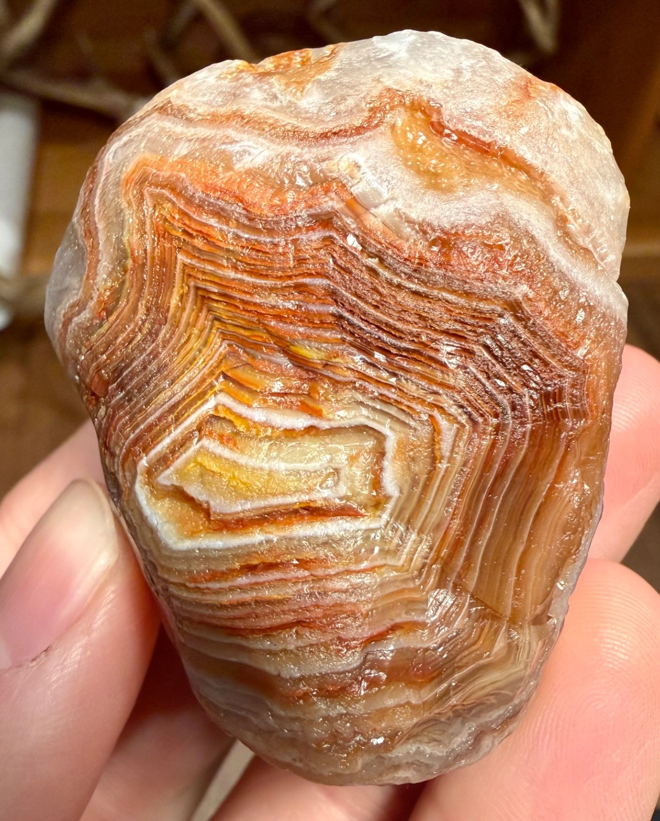 4.55oz LAKE SUPERIOR AGATE 2 GREAT FIRE & ICE COLORED BANDED FACES NEAT