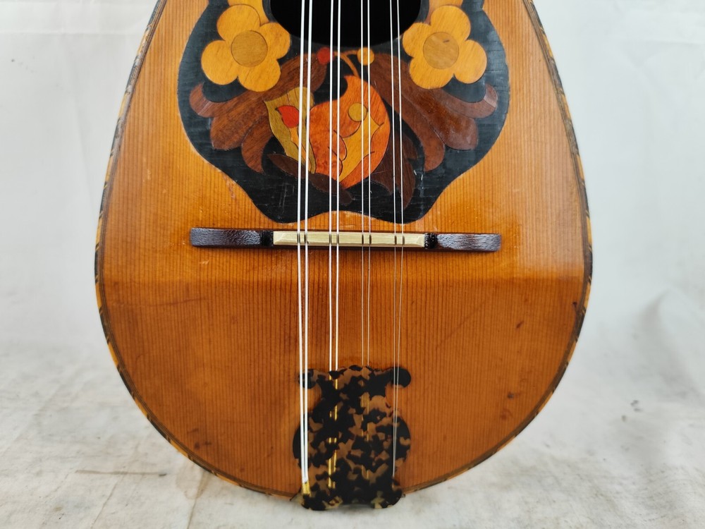 Mandolin 4/4 Gennaro Sweaters 1920 Naples 曼陀林 만돌린マンドリン