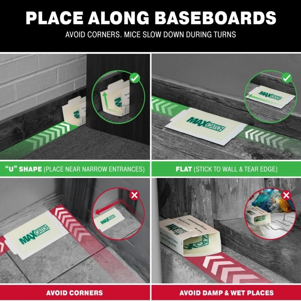 Catchmaster Max-Catch Mouse & Insect Glue Trap 36pk