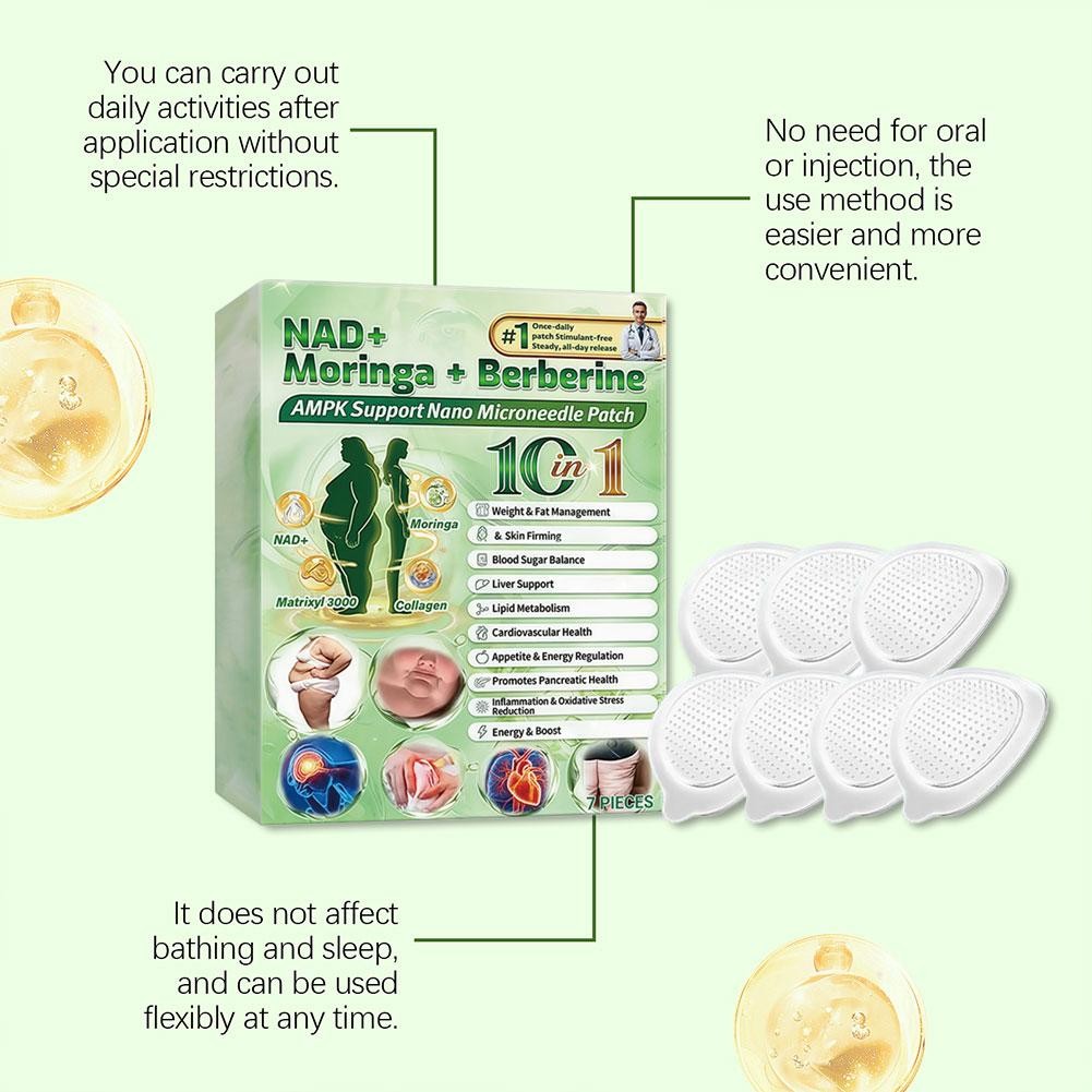 Moringa Berberine 10 in 1 Advanced Nano Microneedle Patch Weight Loss -