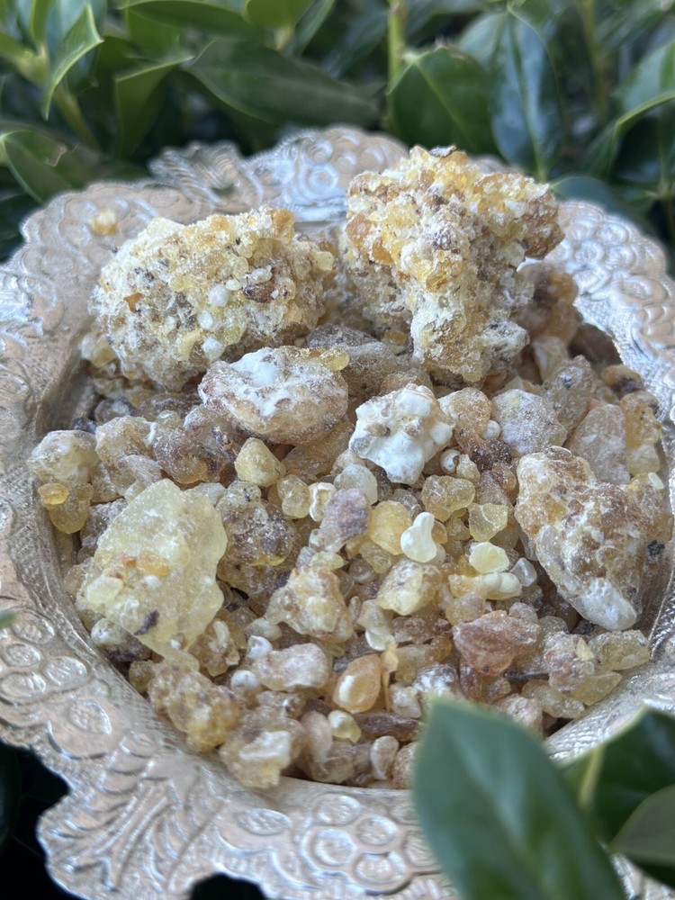 Frankincense (kondar) الكُنْــــــــدُر أفضل انواع  لبان