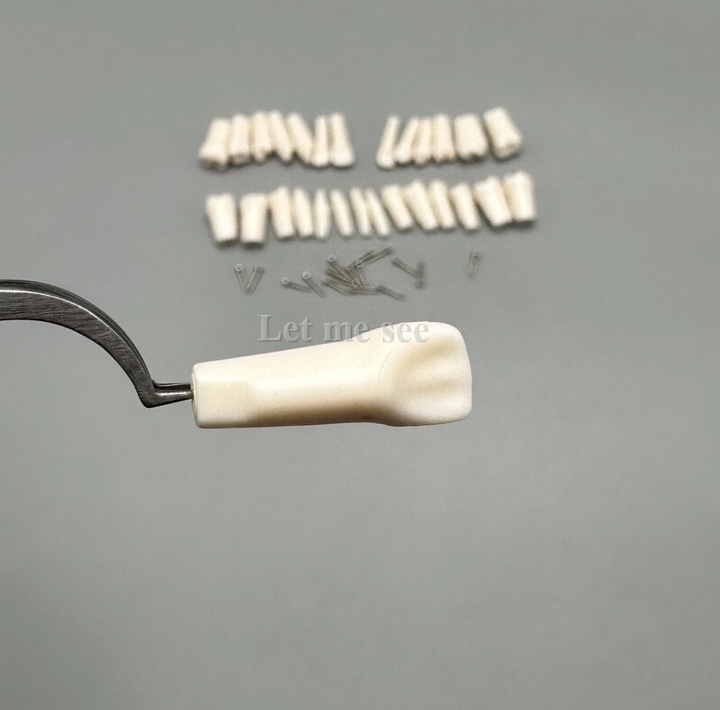 Dental Replacement Screw-in Teeth Typodont Models Study Practice Tooth Model