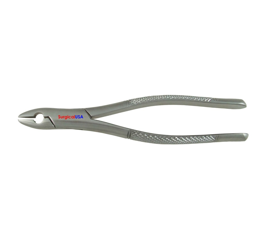 Dental Extracting Forceps #1STD Serrated Beaks Dentist Surgical Instruments