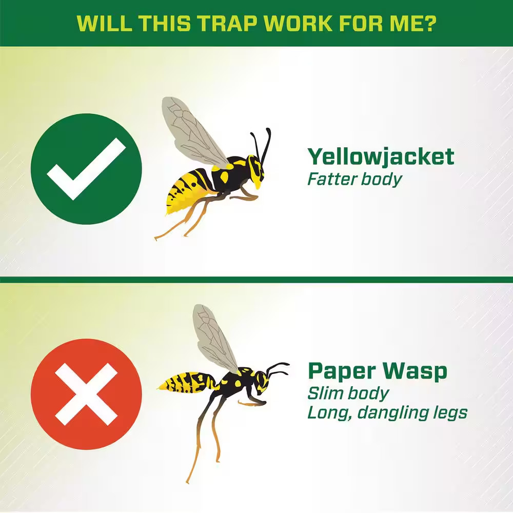 Reusable Yellowjacket Trap (2-Pack)
