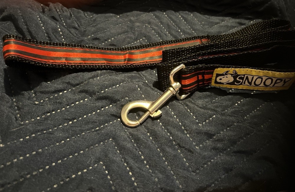 Snoopy Dog Leash - EUC