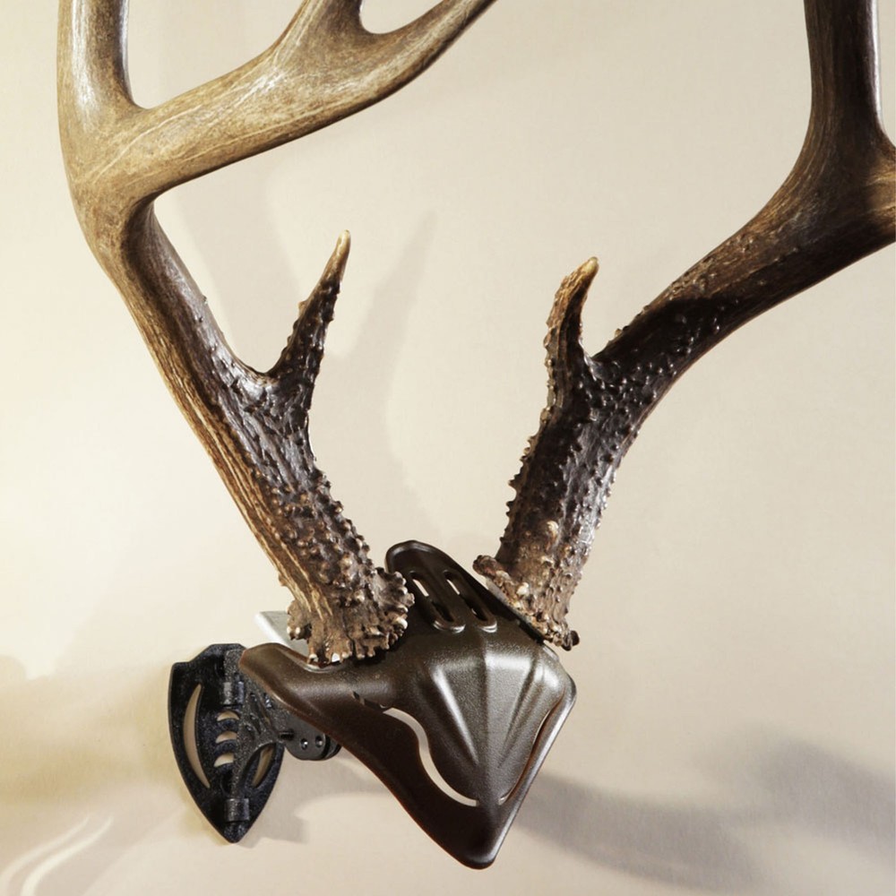 Skull Hooker - Skull Cap - Small/Medium Game Wall Mount - Brown