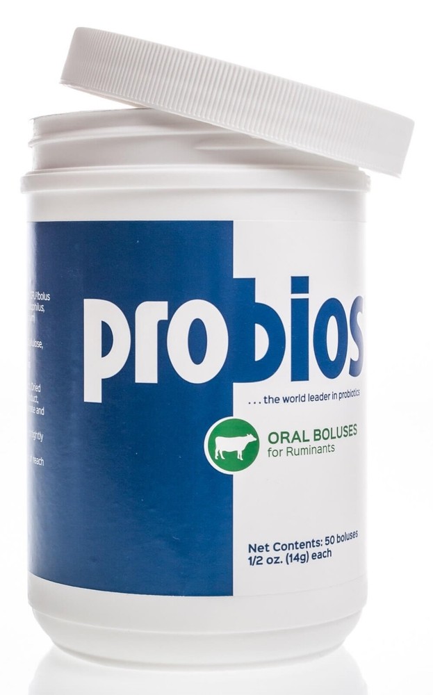 Probios® Bolus, 0.5 oz, 50/jar