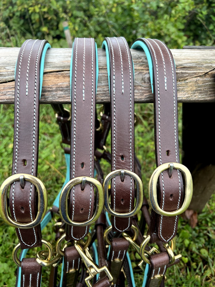 Leaders 1" Leather Halter with Turquoise Padding and Solid Brass Hardware