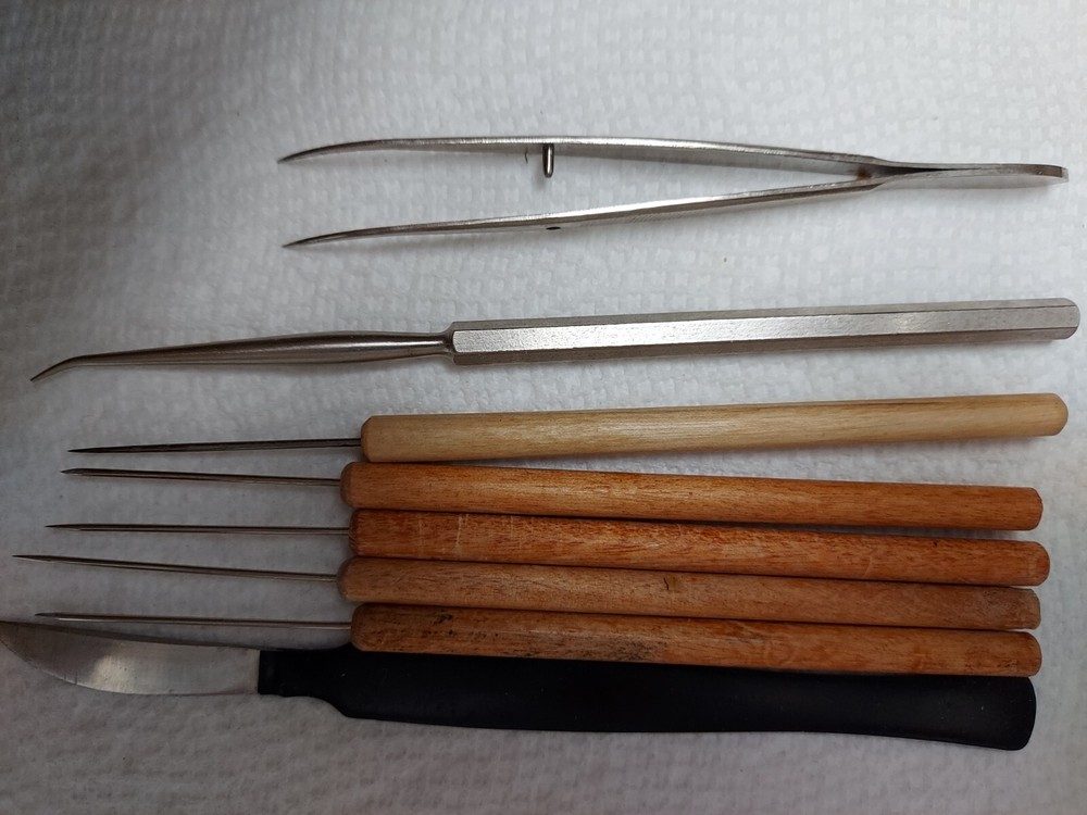 Lab Disection Kit