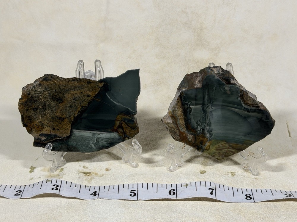 Orbicular Blue Mountain Jasper Slab Set, Lot #77