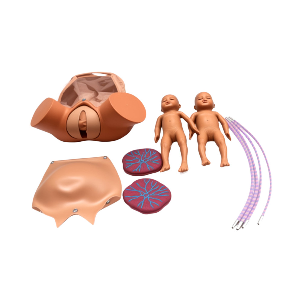 Childbirth Bsterric Delivery Skill Training Model Simulation Parturition PVC