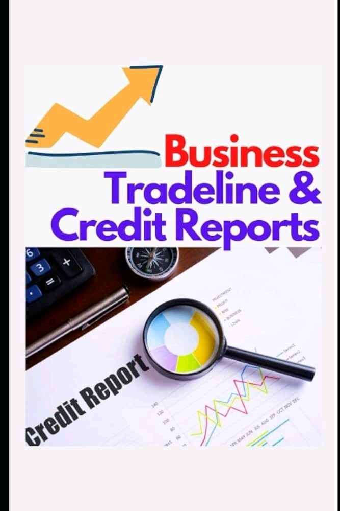 CREDIT REPAIR - 25000  BUSINESS CREDIT LIMIT