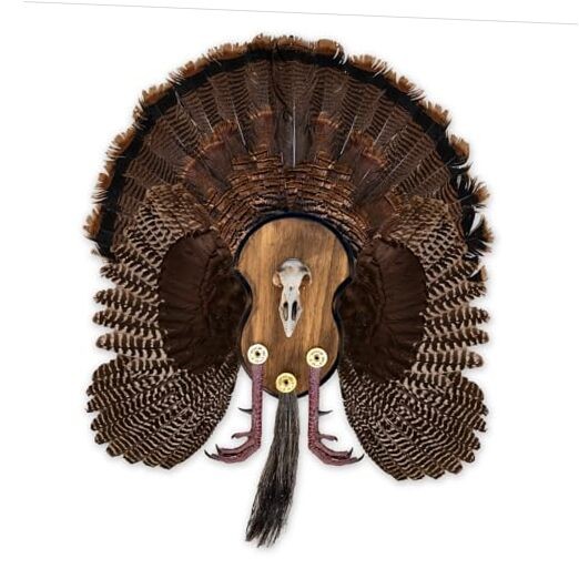 Ultimate Turkey Mounting Kit, Plaque, Beard, Fan, Universal (Model: MMR UTP)