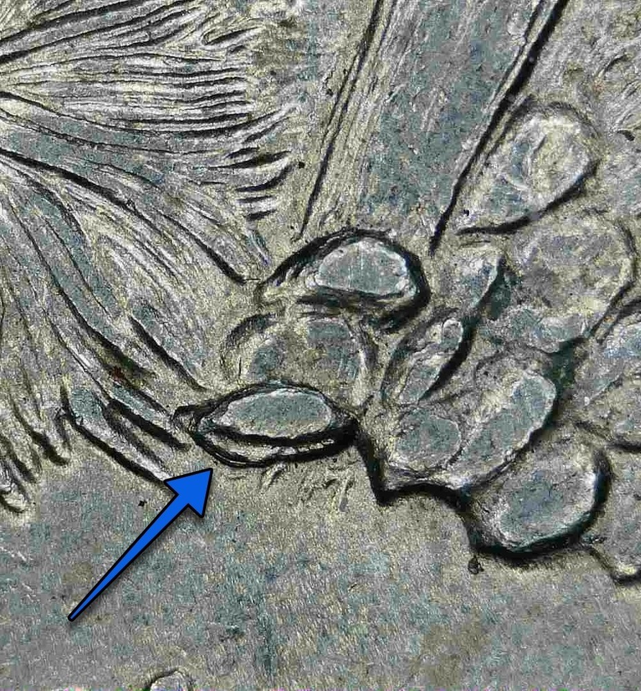 Extra Cactus Leaf Die Chip Error - 2008 Arizona State Quarter