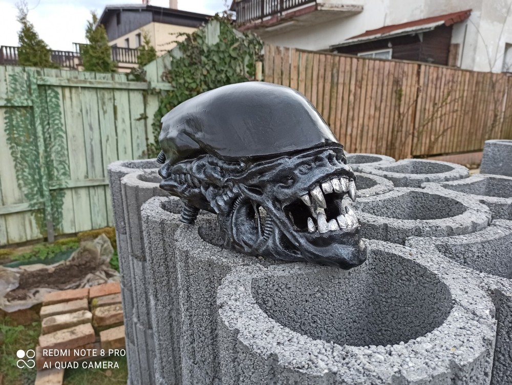 Alien / Xenomorph Romulus bust - head