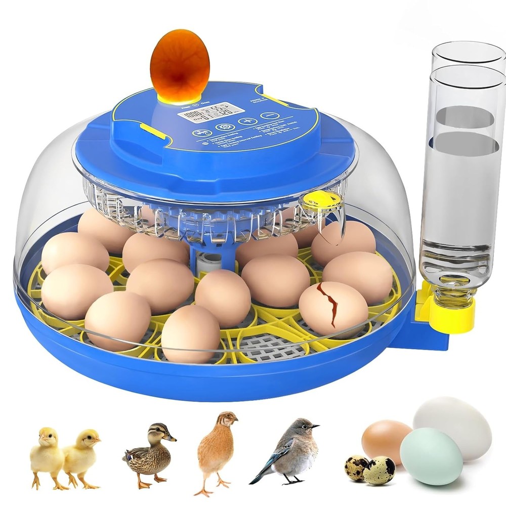 Incubators for Hatching Eggs,12 Egg Incubator with Automatic Egg Turning and ...