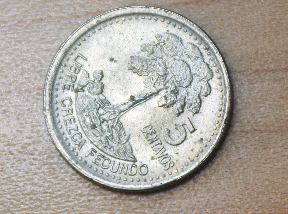 2000 Guatemala 5 Centavos Kapok Tree