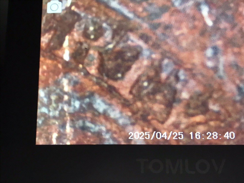 1833 Coronet Head Cent FR