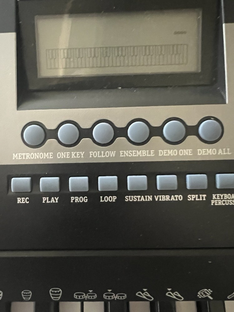 Thaynards TS-380 Prodigy 61 Key