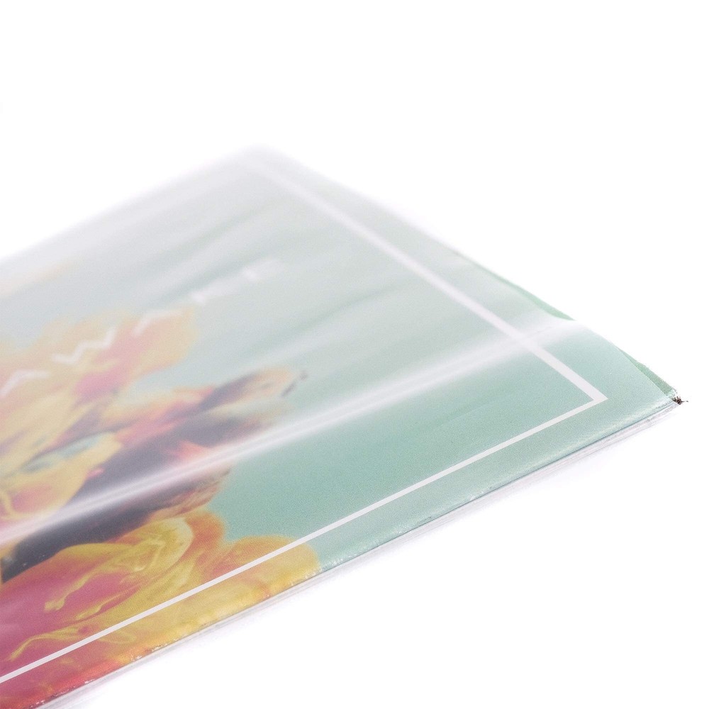 Hudson Hi-Fi Inner & Outer Sleeve Bundles
