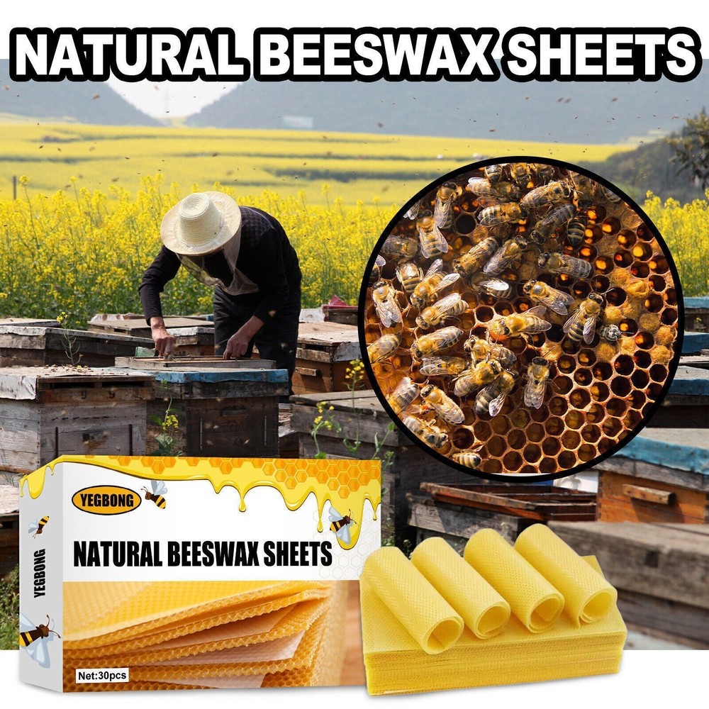 30PCS Beeswax Foundation Bee Hive Wax Frames Beekeeping Honeycomb Sheet Yellow