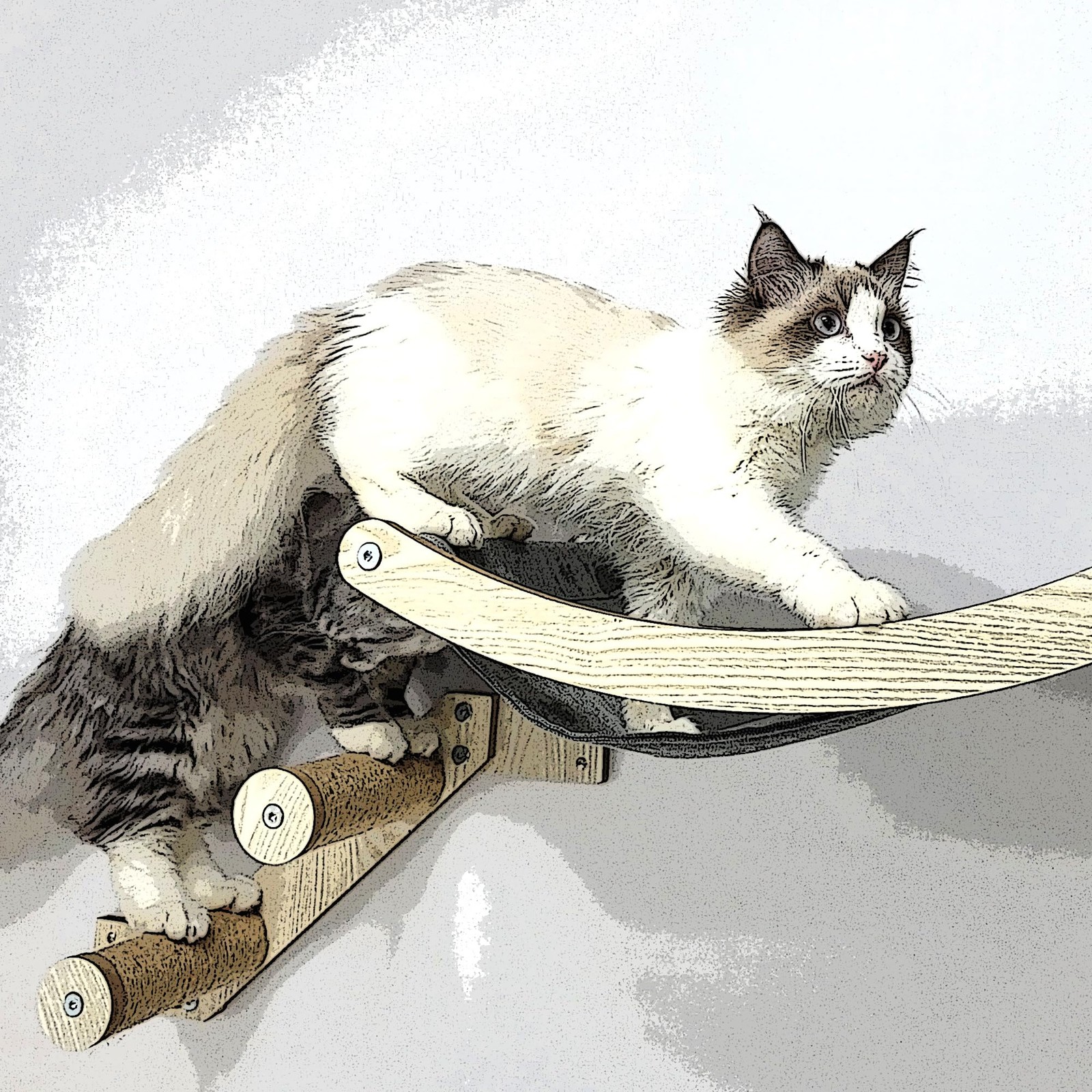 HeyKitten 17" Cat Wall Hammock for 2x4 Stud Mount Stylish Floating Kitten She...