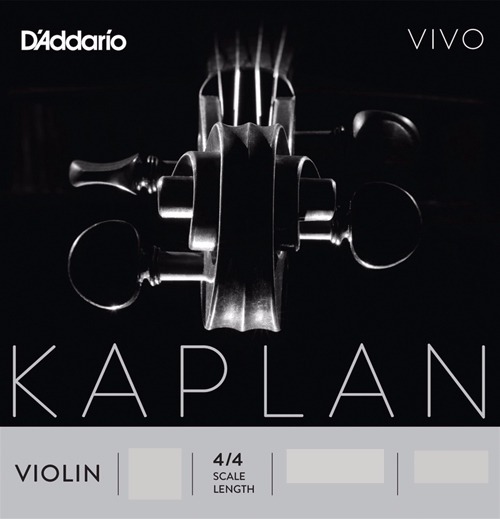 Kaplan Vivo Violin G String 4/4  -Silver Wound