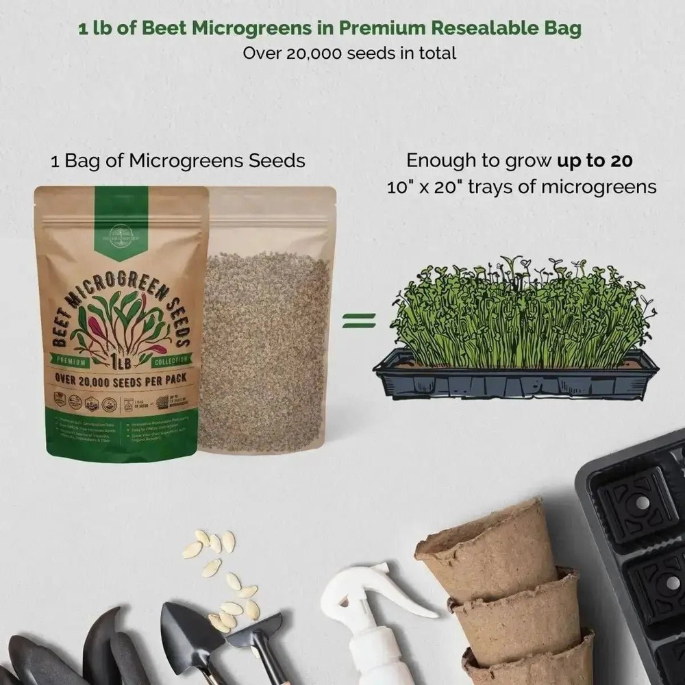 Beet Sprouting & Microgreens Seeds 1lb
