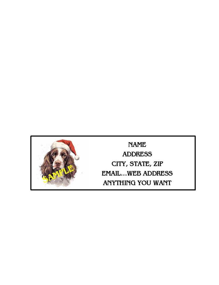 SPRINGER CHRISTMAS X-MAS ADDRESS LABELS COOL!!! #2