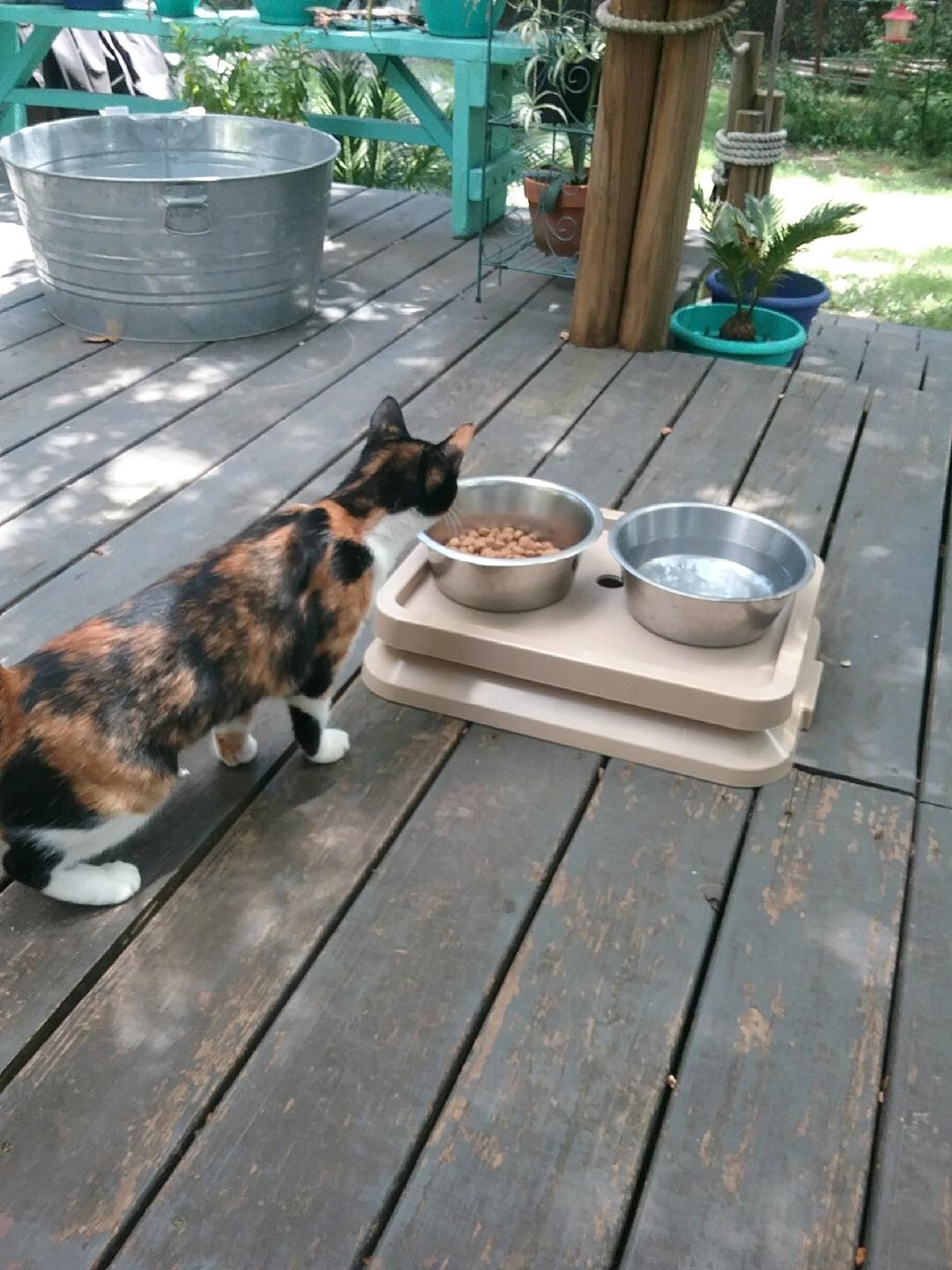 Ant Blocker Ant Proof Pet Food Tray