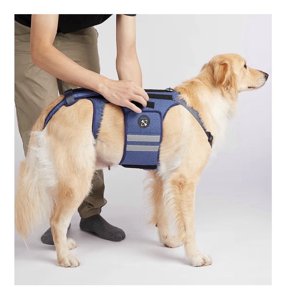 Coodeo Dog Back Brace Support Harness Reflective Breathable - Medium