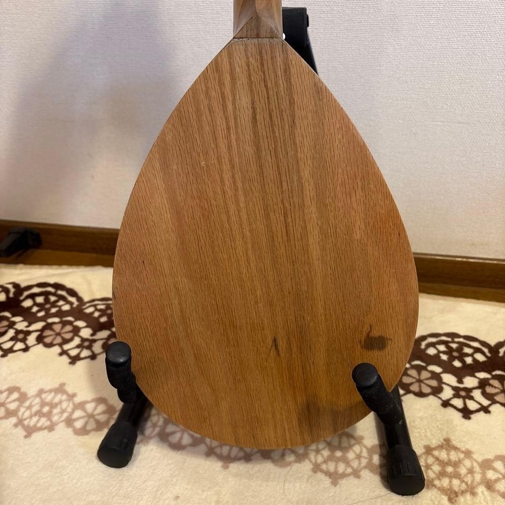 Basiko (flat mandolin) case