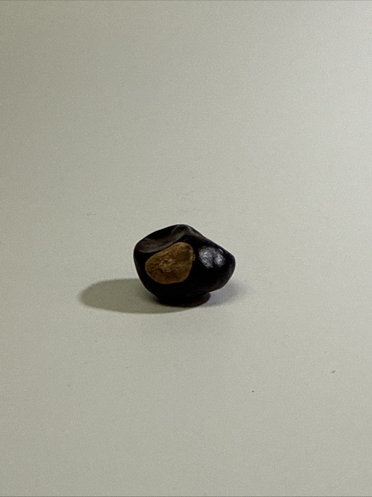 Lucky Buckeye Nut