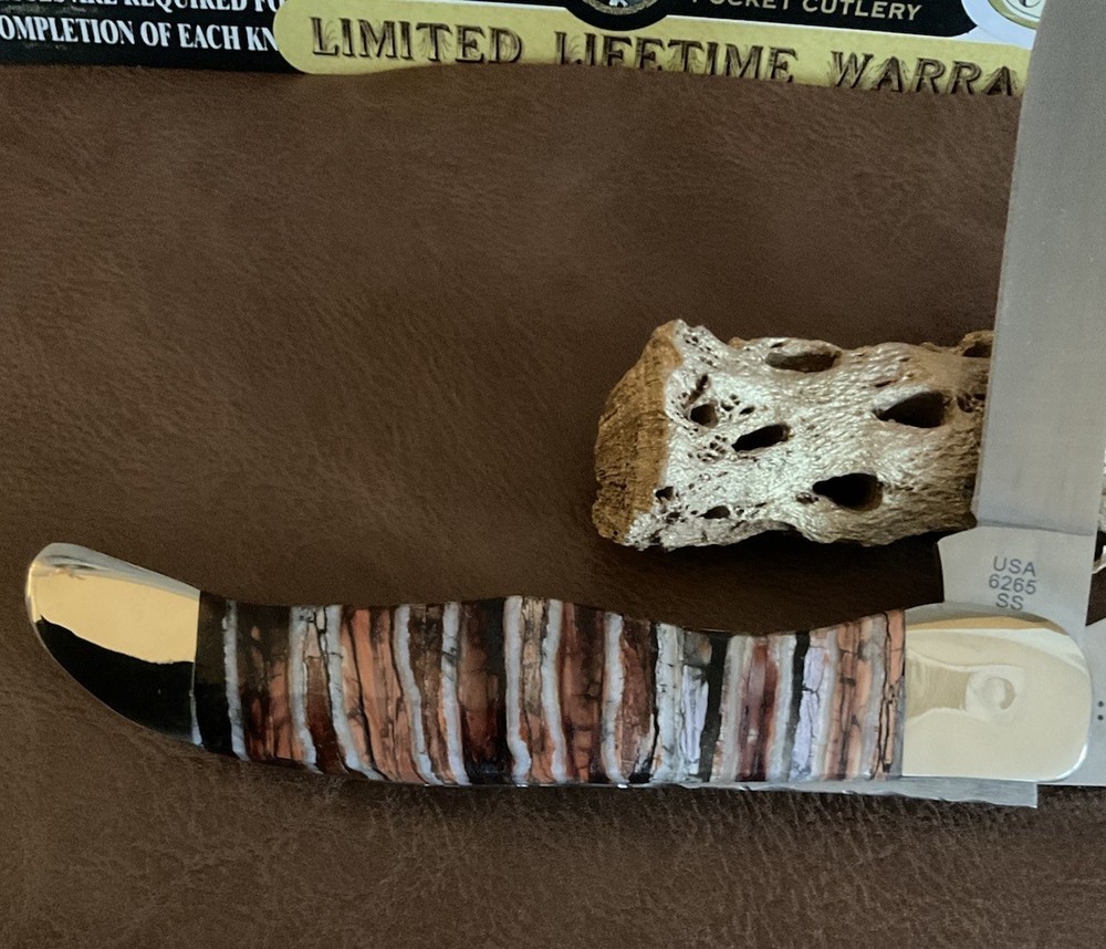 Case Custom SAB Knife 🦣 With Original Sheath 🔥