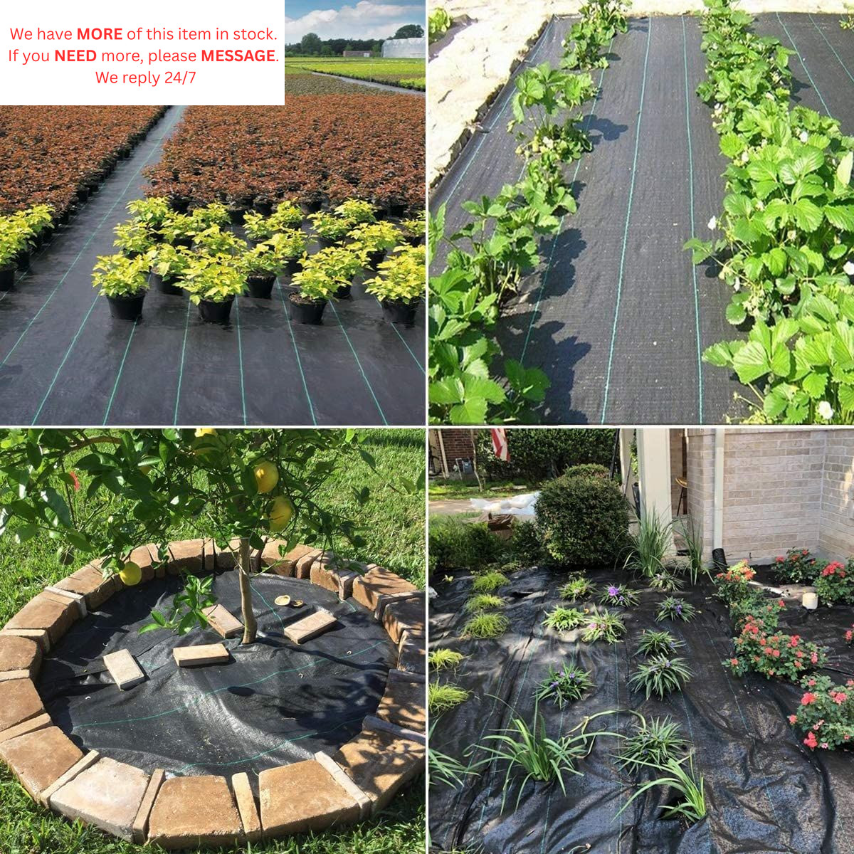 Groweco Landscape Fabric 6ft X 50ft Weed Barrier 6X50 FT, Black