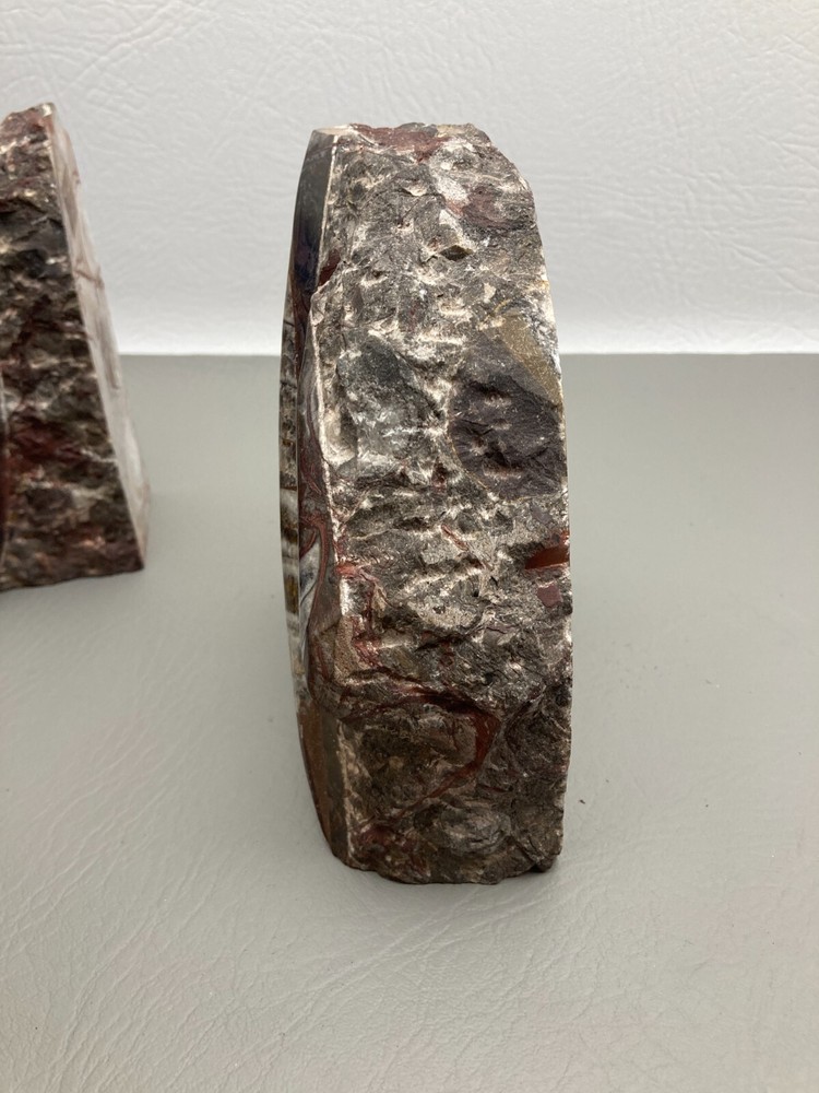Fossil Orthoceras Bookends