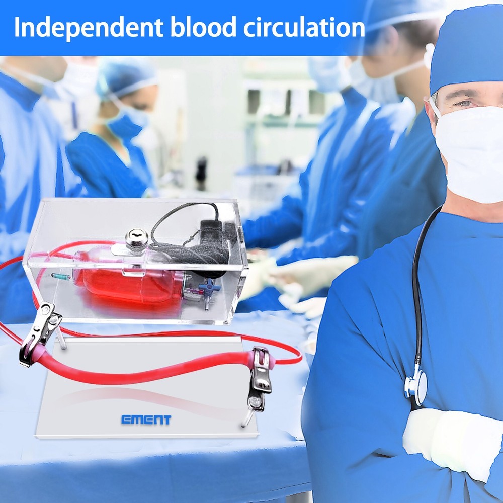 Vascular Surgery Simulation Model With Simulated Blood Flow For Medical Training
