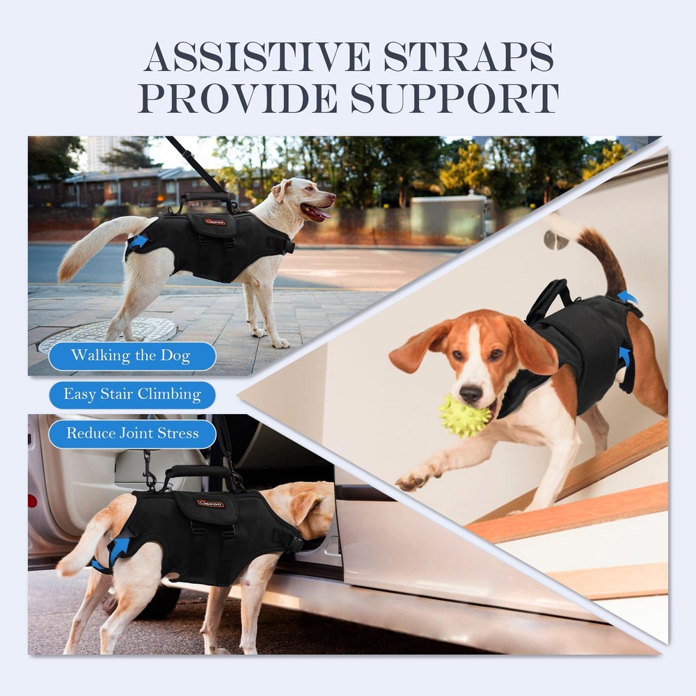 Dog Lift Harness, Full Body Support with Adjustable Control Handle for Medium...